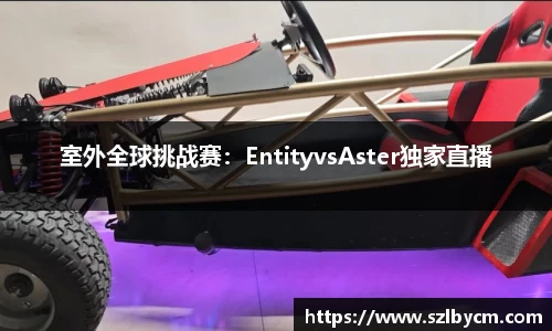 333体育