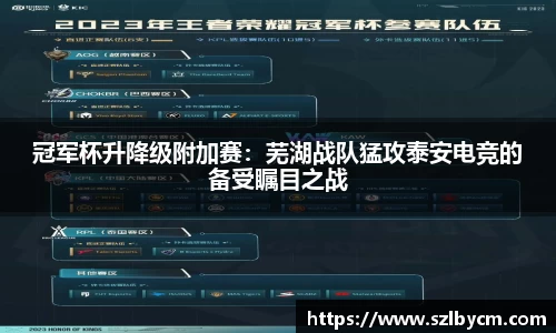 333体育平台